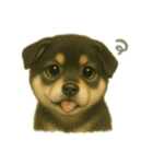 黒柴犬のお気持ち（個別スタンプ：14）