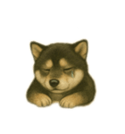 黒柴犬のお気持ち（個別スタンプ：17）