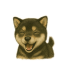 黒柴犬のお気持ち（個別スタンプ：18）