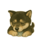 黒柴犬のお気持ち（個別スタンプ：21）