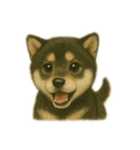 黒柴犬のお気持ち（個別スタンプ：22）
