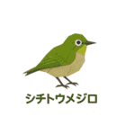 折り紙風 野鳥スタンプ〜三宅島〜（個別スタンプ：2）