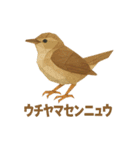 折り紙風 野鳥スタンプ〜三宅島〜（個別スタンプ：3）