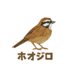 折り紙風 野鳥スタンプ〜三宅島〜（個別スタンプ：8）