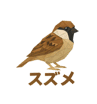折り紙風 野鳥スタンプ〜三宅島〜（個別スタンプ：10）
