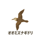 折り紙風 野鳥スタンプ〜三宅島〜（個別スタンプ：16）