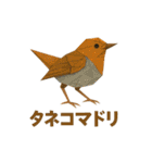 折り紙風 野鳥スタンプ〜三宅島〜（個別スタンプ：17）