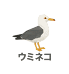折り紙風 野鳥スタンプ〜三宅島〜（個別スタンプ：20）