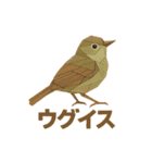 折り紙風 野鳥スタンプ〜三宅島〜（個別スタンプ：26）