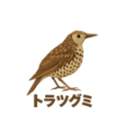折り紙風 野鳥スタンプ〜三宅島〜（個別スタンプ：27）
