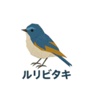 折り紙風 野鳥スタンプ〜三宅島〜（個別スタンプ：28）