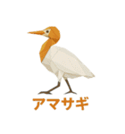 折り紙風 野鳥スタンプ〜三宅島〜（個別スタンプ：30）