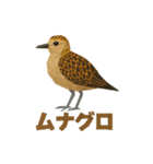 折り紙風 野鳥スタンプ〜三宅島〜（個別スタンプ：34）