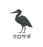折り紙風 野鳥スタンプ〜三宅島〜（個別スタンプ：36）