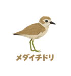 折り紙風 野鳥スタンプ〜三宅島〜（個別スタンプ：37）