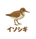 折り紙風 野鳥スタンプ〜三宅島〜（個別スタンプ：40）