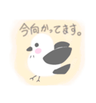 猫たまオリジナル、シマエナガのスタンプ（個別スタンプ：16）