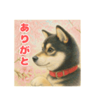 黒柴わさび・詰め合わせスタンプ（個別スタンプ：4）