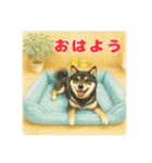 黒柴わさび・詰め合わせスタンプ（個別スタンプ：7）