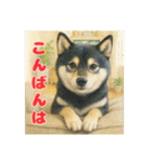 黒柴わさび・詰め合わせスタンプ（個別スタンプ：24）