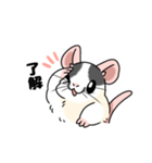 ファンシーラットのスタンプです2（個別スタンプ：9）