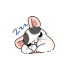 ファンシーラットのスタンプです2（個別スタンプ：12）