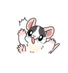 ファンシーラットのスタンプです2（個別スタンプ：14）