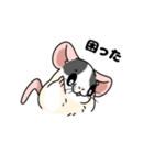 ファンシーラットのスタンプです2（個別スタンプ：16）
