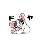 ファンシーラットのスタンプです2（個別スタンプ：23）