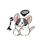 ファンシーラットのスタンプです2（個別スタンプ：25）