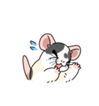 ファンシーラットのスタンプです2（個別スタンプ：30）