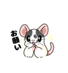 ファンシーラットのスタンプです2（個別スタンプ：31）