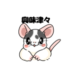 ファンシーラットのスタンプです2（個別スタンプ：35）