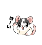 ファンシーラットのスタンプです2（個別スタンプ：37）