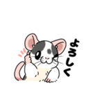 ファンシーラットのスタンプです2（個別スタンプ：39）