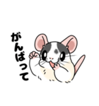 ファンシーラットのスタンプです2（個別スタンプ：40）