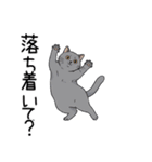 汎用シャルトリュースタンプ3（個別スタンプ：13）