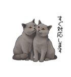 汎用シャルトリュースタンプ3（個別スタンプ：14）