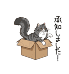 汎用ノルウェージャンフォレストスタンプ3（個別スタンプ：6）