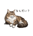 汎用ノルウェージャンフォレストスタンプ3（個別スタンプ：35）