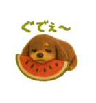 チョコタンダックスラムの夏スタンプ（個別スタンプ：4）