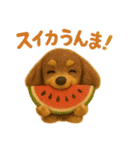 チョコタンダックスラムの夏スタンプ（個別スタンプ：8）