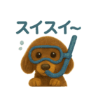 チョコタンダックスラムの夏スタンプ（個別スタンプ：19）