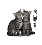 汎用サバトラスタンプ3（個別スタンプ：2）