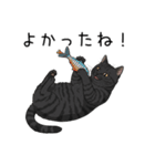 汎用サバトラスタンプ3（個別スタンプ：8）