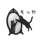 汎用サバトラスタンプ3（個別スタンプ：34）