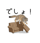 汎用マヌルネコスタンプ3（個別スタンプ：7）