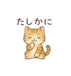 ぽてぽてねこスタンプ（個別スタンプ：3）