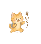 ぽてぽてねこスタンプ（個別スタンプ：17）
