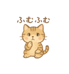 ぽてぽてねこスタンプ（個別スタンプ：20）